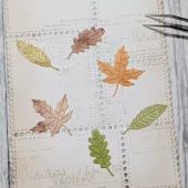 Gummiapan - 3 små løv- Dies