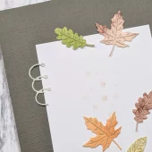 Gummiapan - Albumringer - Dies