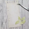 Gummiapan - GA SlimLine Note- Dies