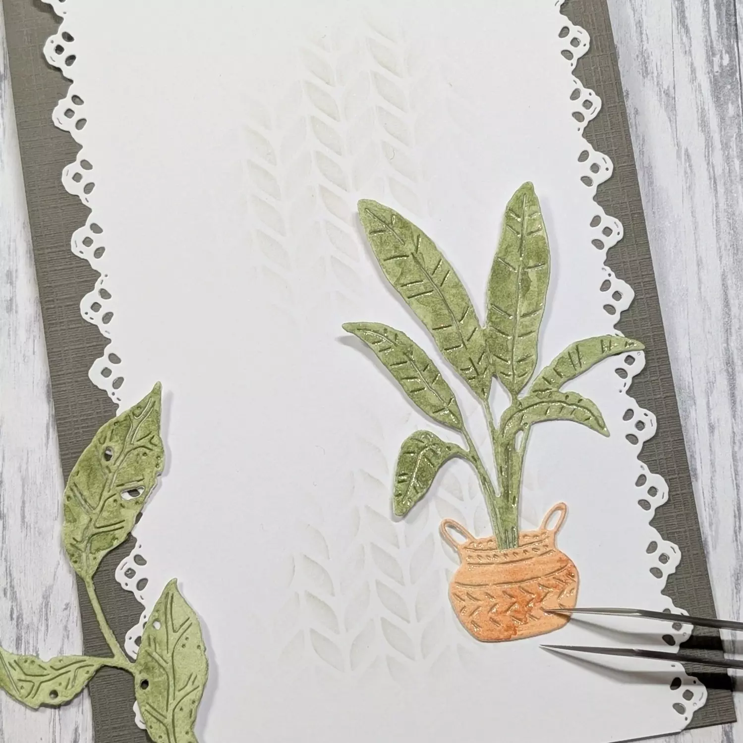 Gummiapan - Stor plante i kurv - Dies