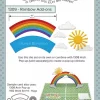Karen Burniston Dies - Rainbow Add-ons -1309