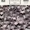 Reprint - Flower Lavender