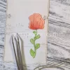 Gummiapan - Campanula - Dies