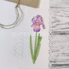 Gummiapan - Iris- Dies