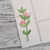 Gummiapan - Vinca Major- Dies