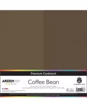 Arden - Premium Cardstock 12x12 Inch Coffee Bean