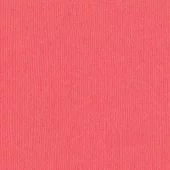 Bazzil - Roselle