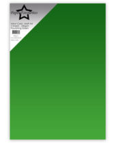 Paper favourites - Mirror Card Matt - A4 Flourishing Green