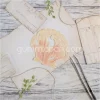 Gummiapan - Gammelt skjell- Dies