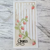 Gummiapan - Delvis Randin Slimline - Dies - 260701