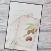 Gummiapan - Oliven kvist  - 260816