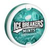 Ice Breakers Wintergreen 42gr