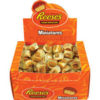 Reese's Miniature Peanut Butter Cups 8g