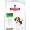 Canine Puppy Lamb & Rice 12 kg