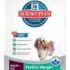 Canine Adult Perfect Weight Small&Mini Chicken 6kg