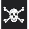 PetScribe tag Military Black w/White Skull