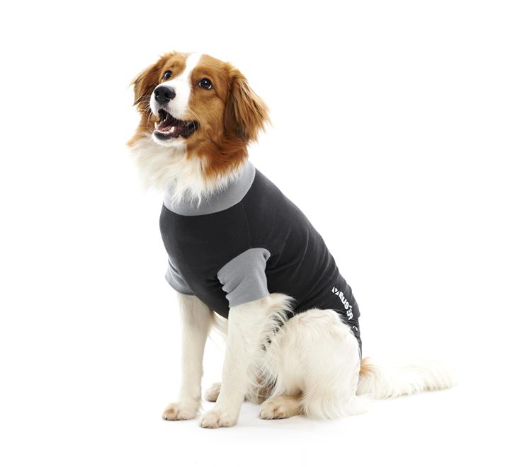 BUSTER Body Suit EasyGo til hund, sort/grå, 38 cm, str. XS