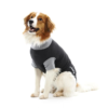 BUSTER Body Suit EasyGo til hund, sort/grå, 41 cm, str. S