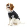 BUSTER Body Suit EasyGo til hund, sort/grå, 62 cm, str. XL
