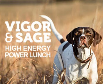 VIGOR & SAGE High Energy Power Lunch 185g