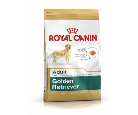 RC Golden Retriever Adult 12 kg