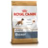 RC Boxer Puppy 12 kg