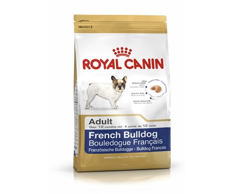RC French Bulldog 3 KG
