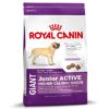 RC GIANT Puppy Active 15 kg