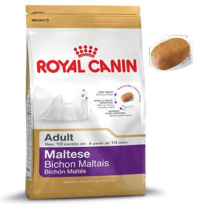 RC Maltese 24 Adult 1,5 KG