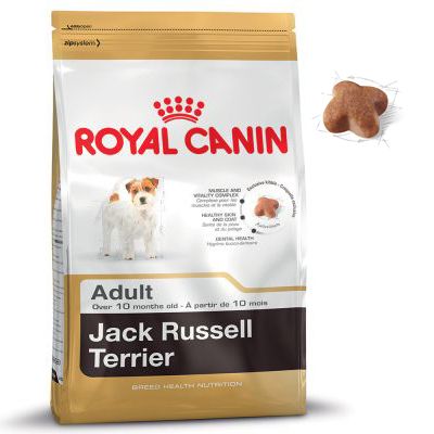 Jack Russel Adult 1,5 kg