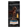 PP Large Athletic Adult - EVERYDAY NUTRITION 14kg