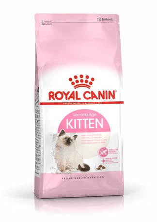 RC Kitten 0,4kg