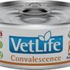 FA VET  ND CAT CONVALESCENCE 85G CAN