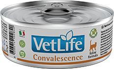 FA VET  ND CAT CONVALESCENCE 85G CAN