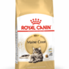 RC Maine coon 0,4kg