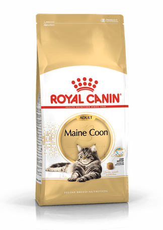 RC Maine coon 4kg