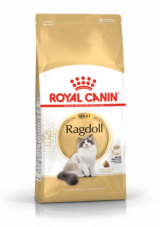 RC Ragdoll  2 kg