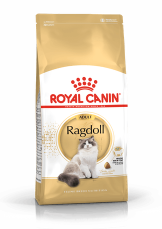 RC Ragdoll 10 kg