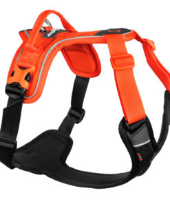Ramble harness, black/orange, M