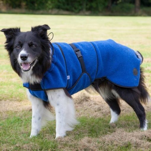 Canelana Lana ulldekken blå XS terrier