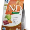 N&D DOG PUMPKIN VENISON & APPLE ADULT MINI 2 KG