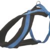 Hundesele Foret 203602 Royal Blå XS/S 30-55cm