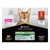 PP Cat Sterilised Beef 10-pack
