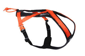 Rush harness black/orange, 5