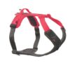 Ramble harness black/pink, S