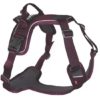 Ramble Harness, Purple, L