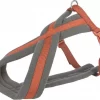 Hundesele Foret 203630 Rust XS/S 30-55cm