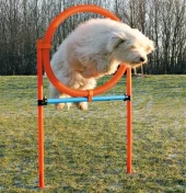 Agility Ring 3208 1,15m x D: 65cm Blå/Oransje