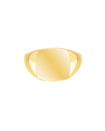Chunky Signet Ring Gold - Idfine