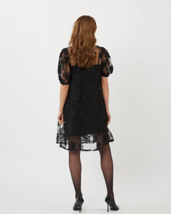 gallery-33456-for-87592698